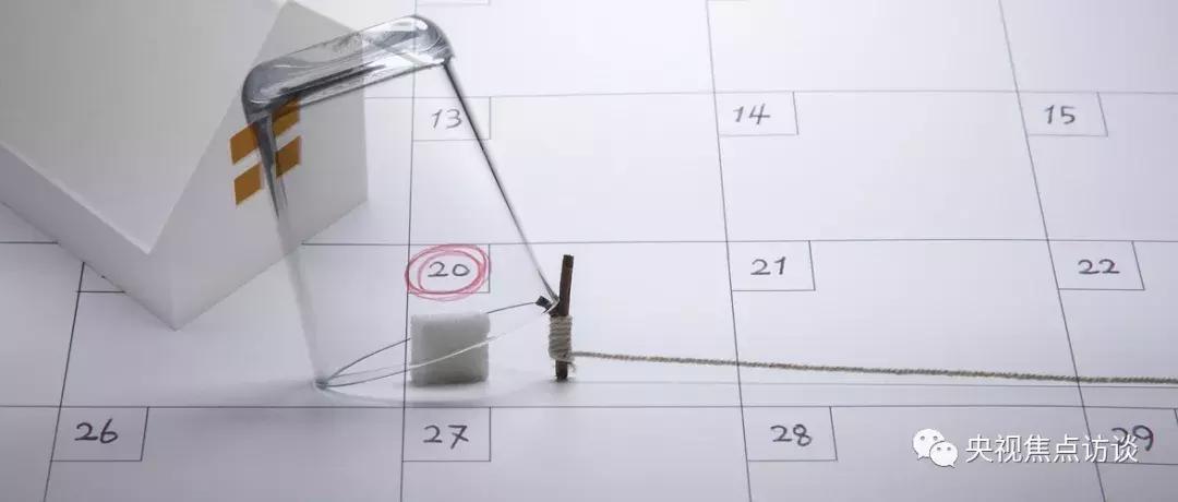 焦点访谈租房押一付一,焦点访谈租房平台