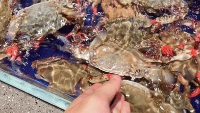 爽到爆的美食,爽到爆吃海鲜