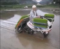 德国的认真和严谨,德国人的严谨和认真有多可怕