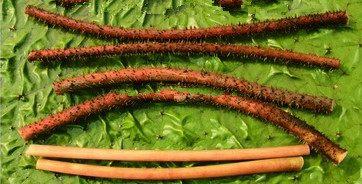 舌尖上的美食儿时的味道找了好久,有一种美食叫做童年回忆