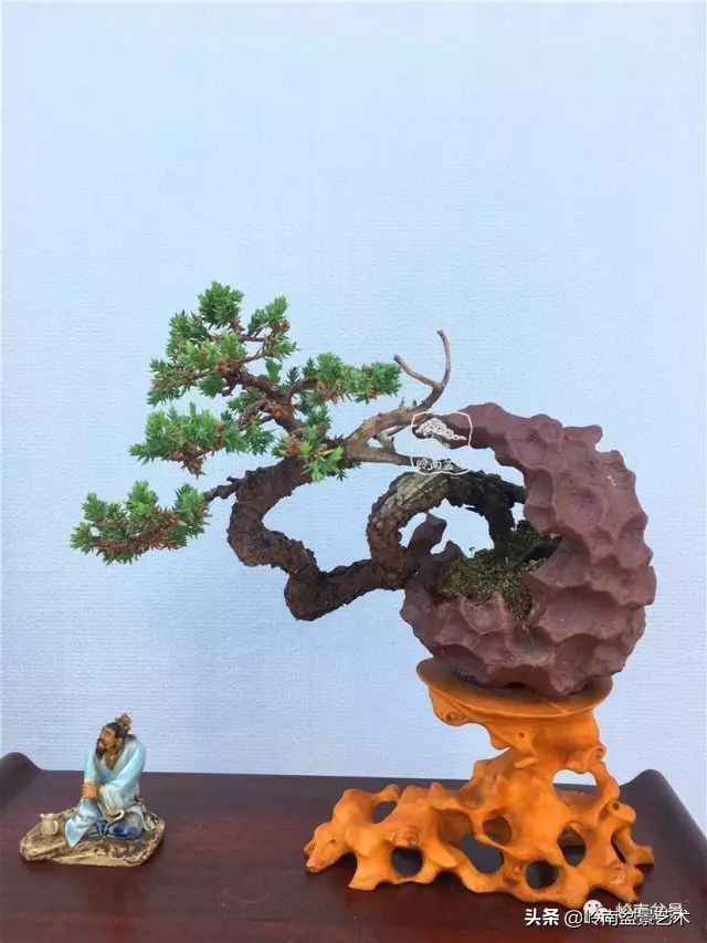 鎺㈡灊妞嶇墿,鎺㈡灊