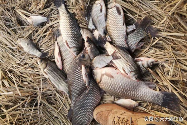 春天野钓的正确方法与技巧,早春钓鱼技巧分析