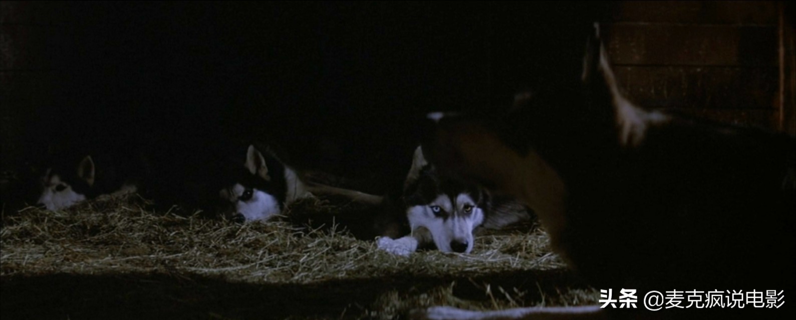 很老的科幻怪物电影,美国70年代的怪物电影