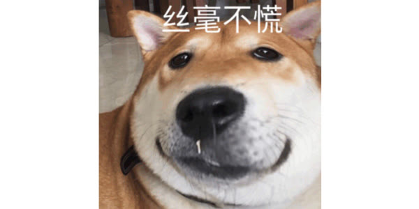 狗子挑食不吃饭怎么办是生病了吗,狗子挑食怎么处理最有效