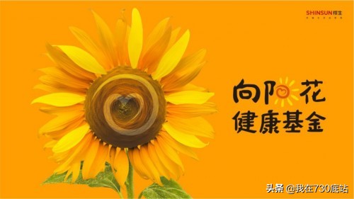 祥生地产改革,祥生地产新项目