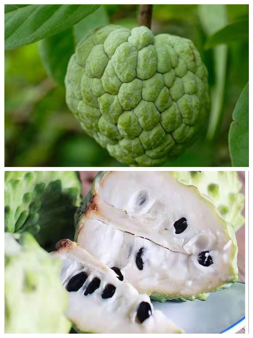 10大奇异水果你吃过几种,这五种奇葩罕见的水果你吃过几种