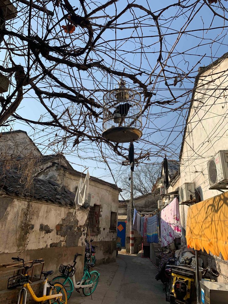 城南旧巷谁家的,探访老街旧巷带您寻觅城市记忆