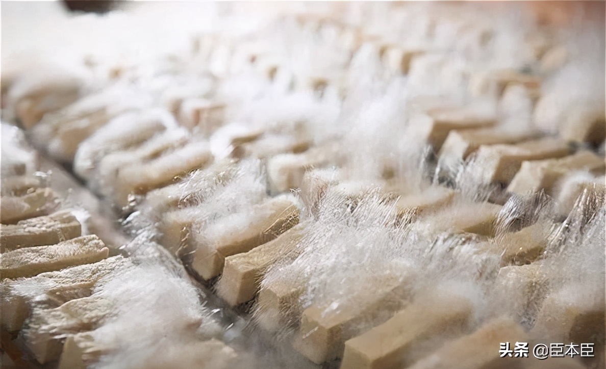 安徽毛豆腐是什么味道的,徽菜代表菜毛豆腐