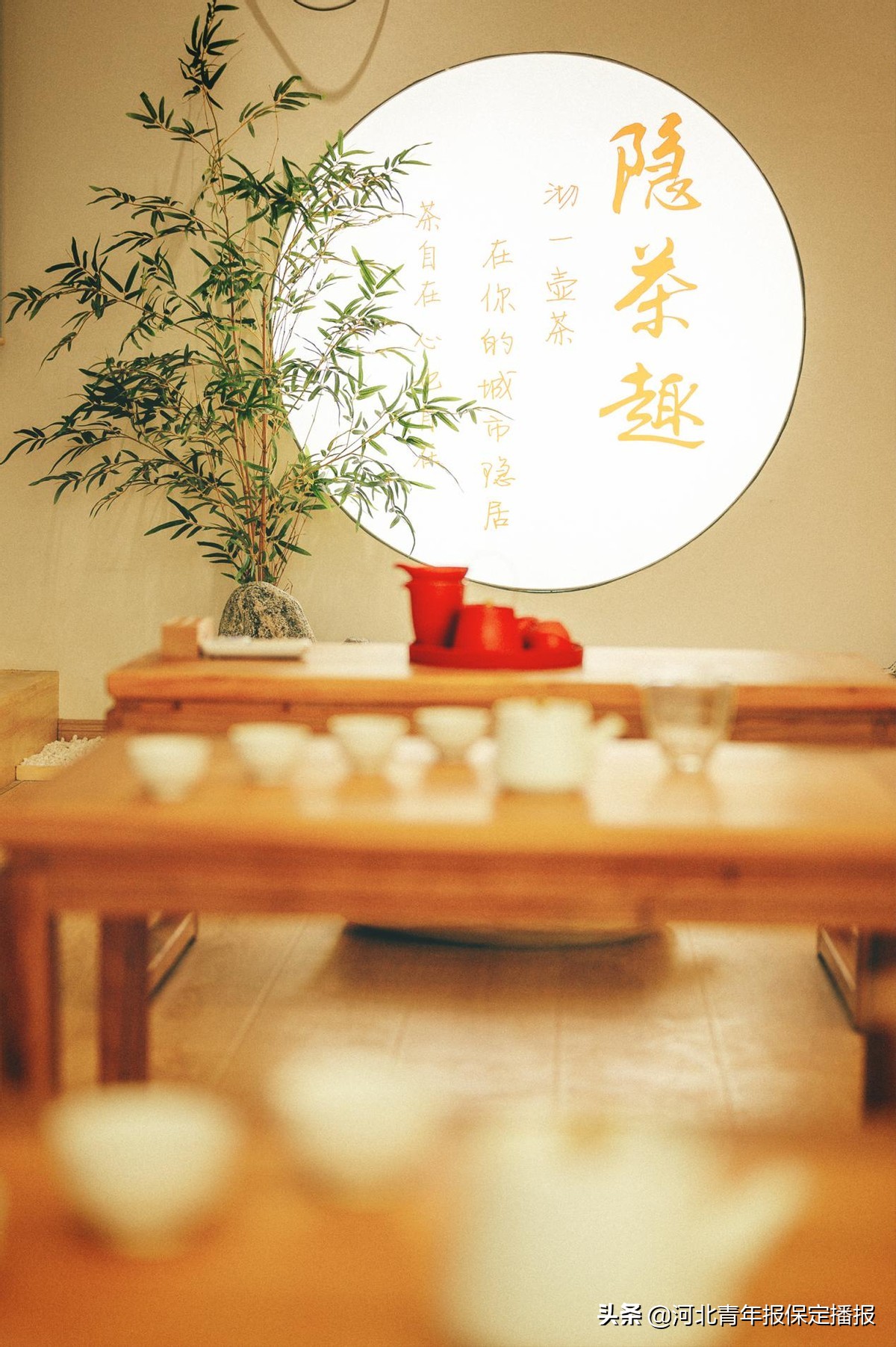 刘涛生活中的商业女强人,刘涛的创业日记