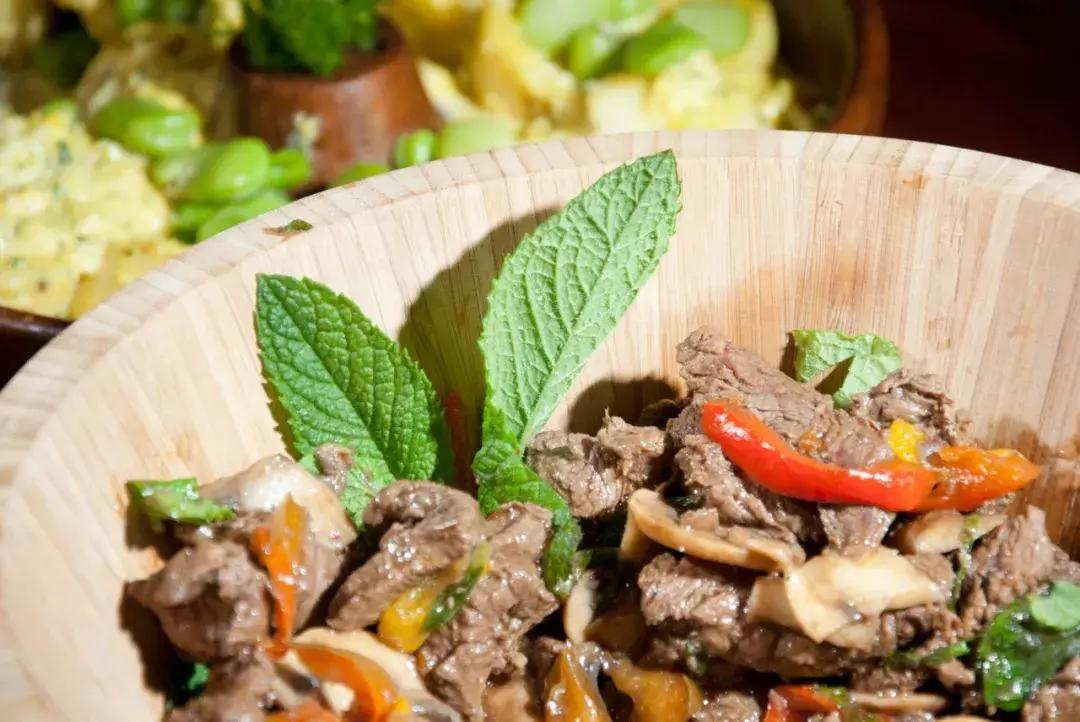 包括羊驼的十大神兽羊驼简介,羊驼神兽为什么吐口水