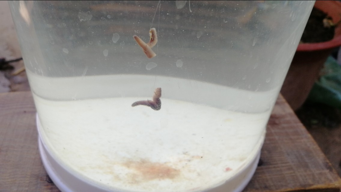 钓浮的调漂的正确方法图解,钓浮调漂的正确方法与技巧