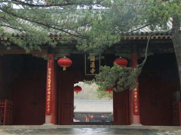 最新五台山旅游攻略一日游,五台山景区一日游最全攻略自由行