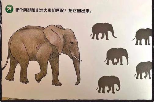 绘本启蒙教育,绘本中的亲子教育