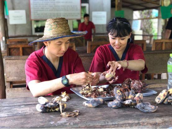 清迈大象义工,清迈大象救助营