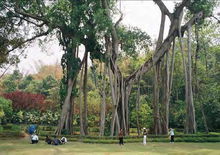 中缅边境游玩攻略,中缅边城瑞丽旅行