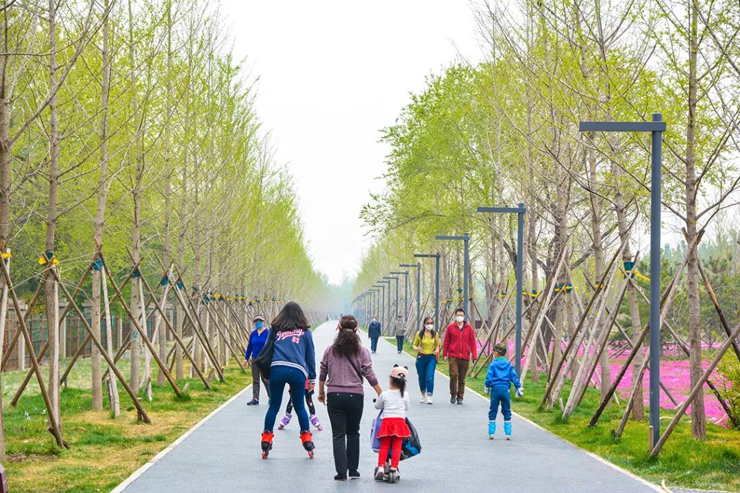 北京新开40个公园在哪里,北京十佳公园