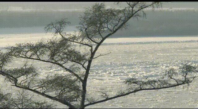 黑龙江旅游小众胜地,黑龙江值得旅游的10个地方