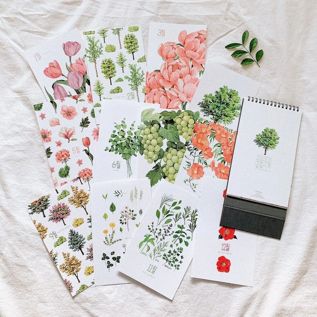 超美水彩画治愈,韩国女孩画画