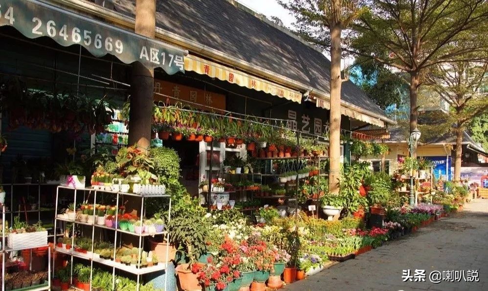 深圳大鹏自驾游十大免费景点推荐,深圳十大免费景点有哪些