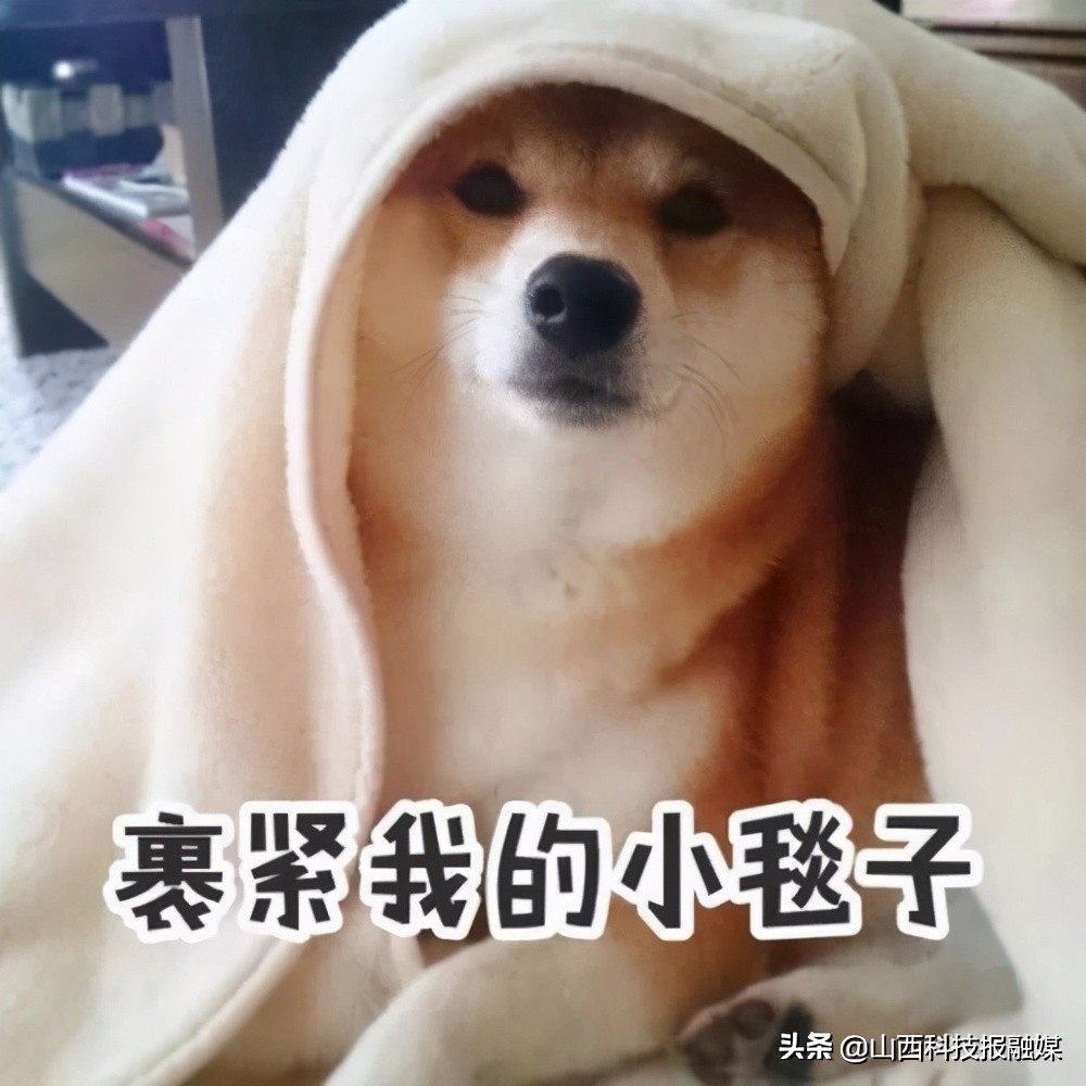 明日“九九”  究竟是哪“九九”?为啥以“九”为单位？------您的春日暖阳即将“发货” 请查收