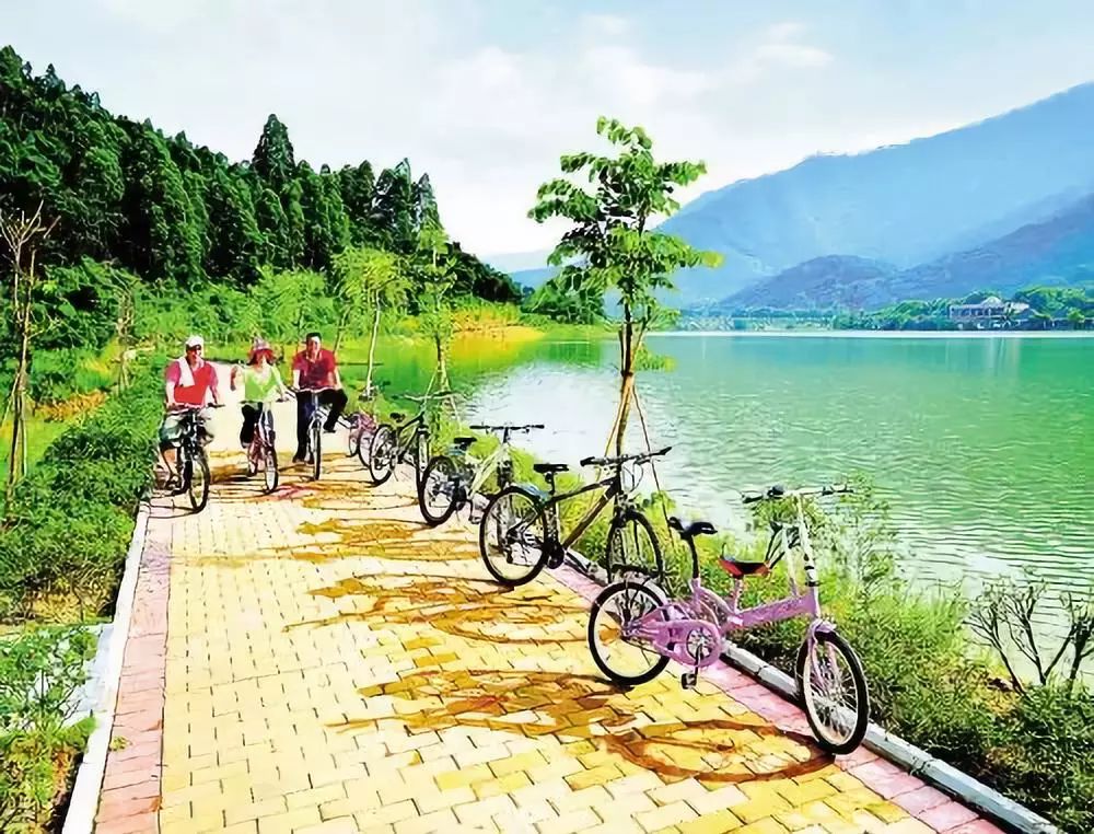 莫干山别具特色的3家民宿,莫干山景点民宿