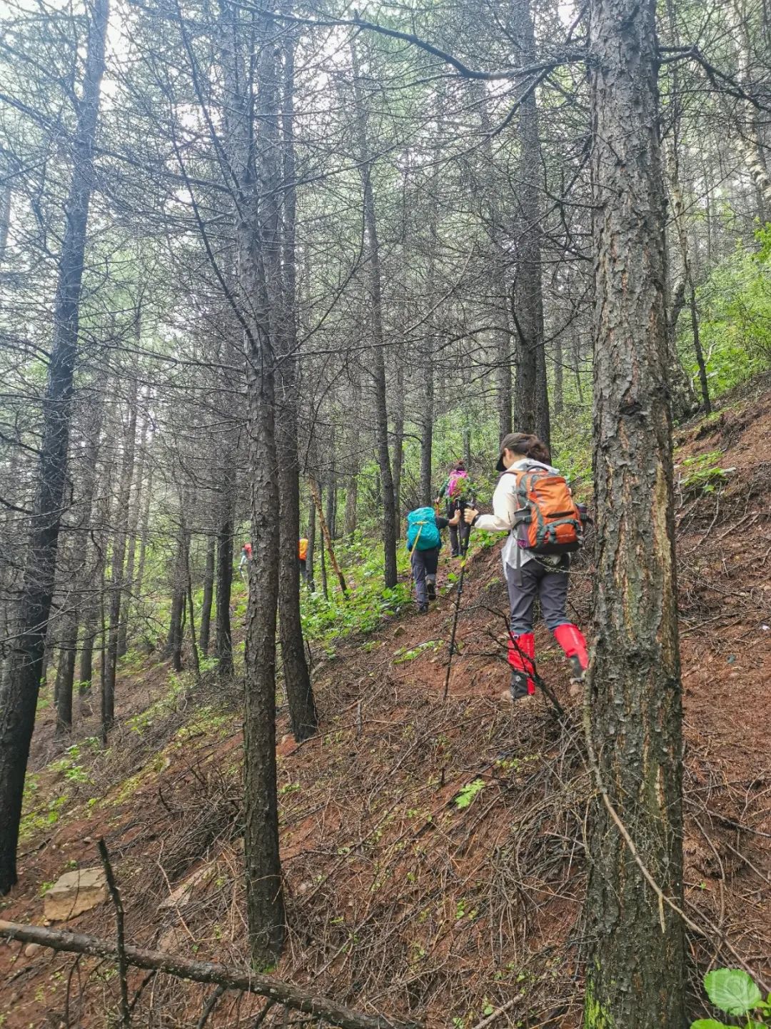徒步穿越北驼梁完整版,穿越花海古道游记