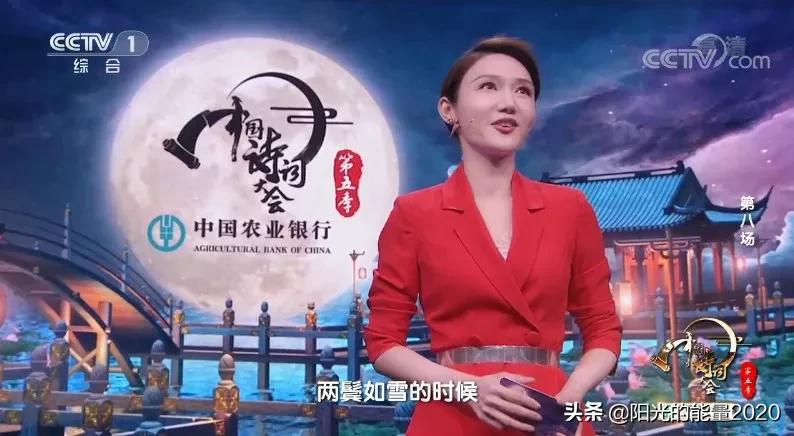 中国诗词大会摘抄时段优美开场白,诗词大会开场白文案全集