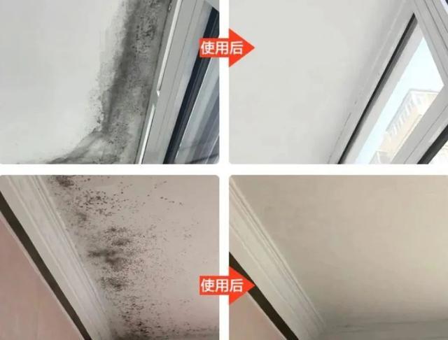 墙壁发霉怎么防止渗水,墙壁发霉怎么抹掉