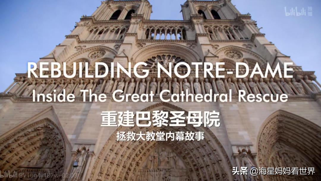 假期最值得看的四部纪录片,适合暑假看的5部神级纪录片