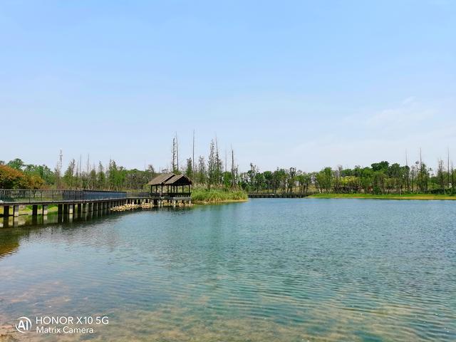 荣耀x10是双5g手机吗,荣耀x10最值得入手的5g手机