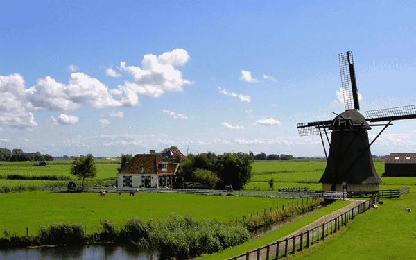 调查了N个家庭后，我们整理了一份“中国娃儿奶制品补充”扫盲贴