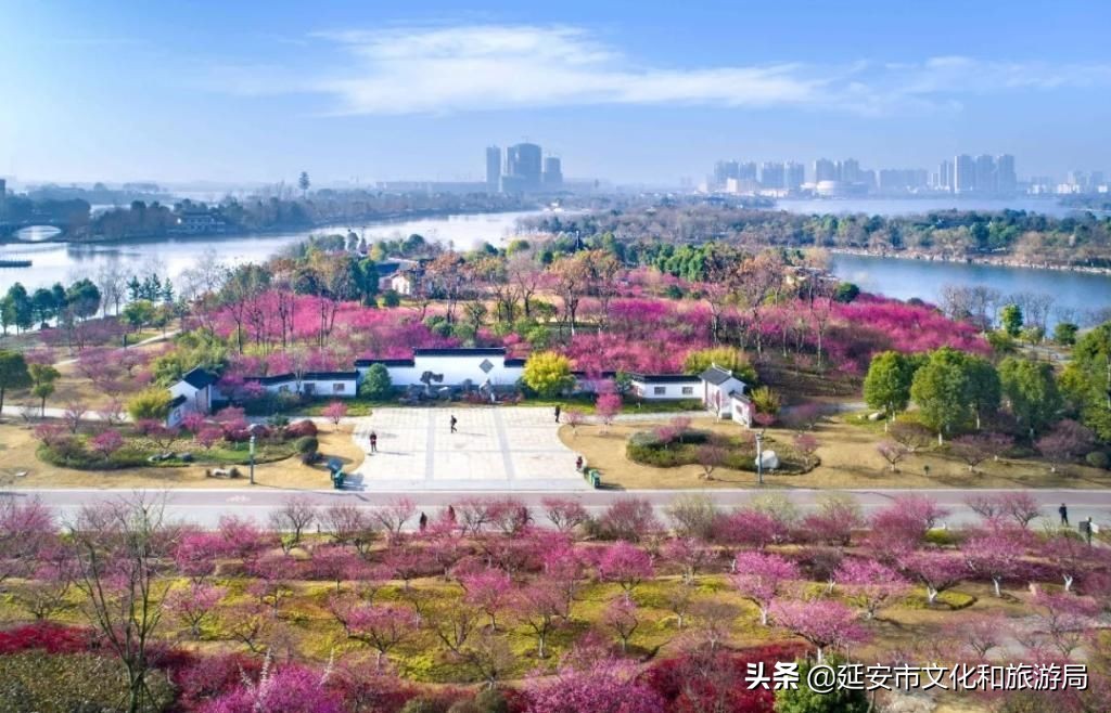 鏁伴娴佷汉鐗╃湅浠婃湞绱犳潗,鏁伴娴佷汉鐗╃湅鍘嗗彶娌夋诞