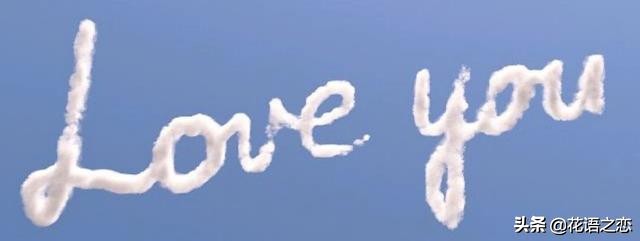 郁金香花语全部视频,花语完整视频大全