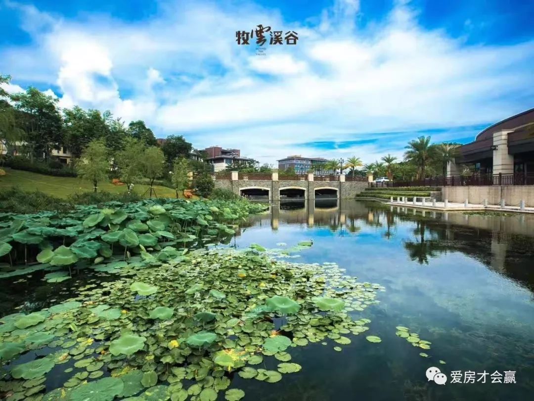 牧云溪谷深度分析,牧云溪谷别墅