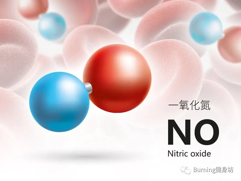 淇宸︽棆鑲夌⒈鑳跺泭鍑忚偉,宸︽棆鑲夌⒈鍑忚偉鑳跺泭鍔熸晥