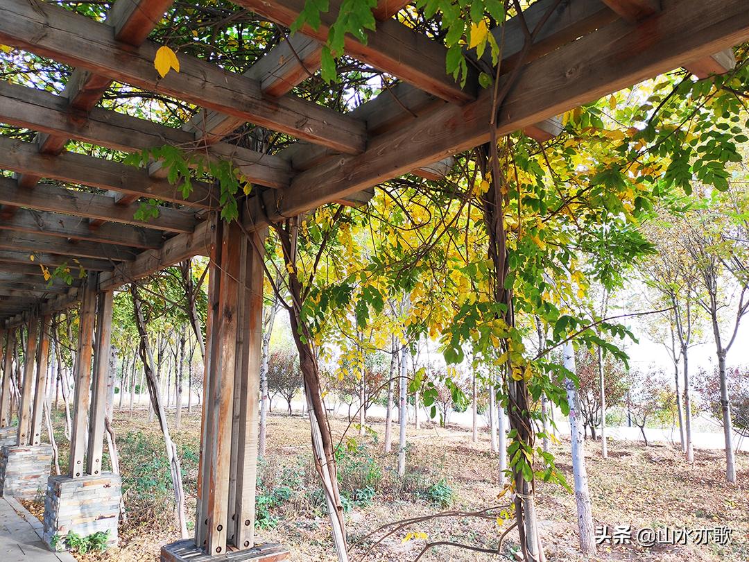 石家庄滹沱河生态区风景如画,石家庄市滹沱河美景