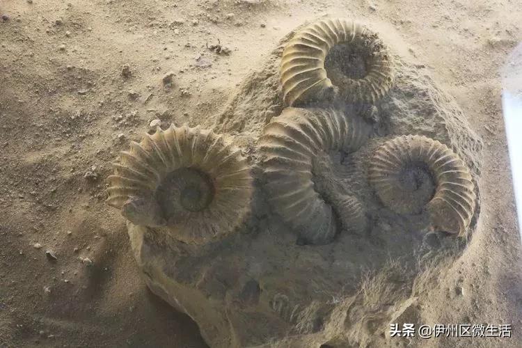 走进巴州博物馆,走进新疆博物馆