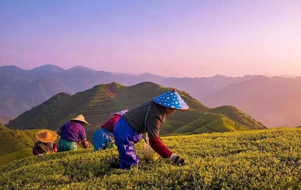 温州哪些地方看日出最美,温州附近看日出最好的地方