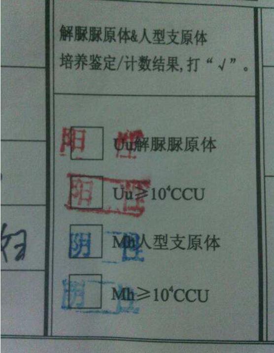 妇科炎症一般查哪几项,女性非淋菌性尿路感染症状