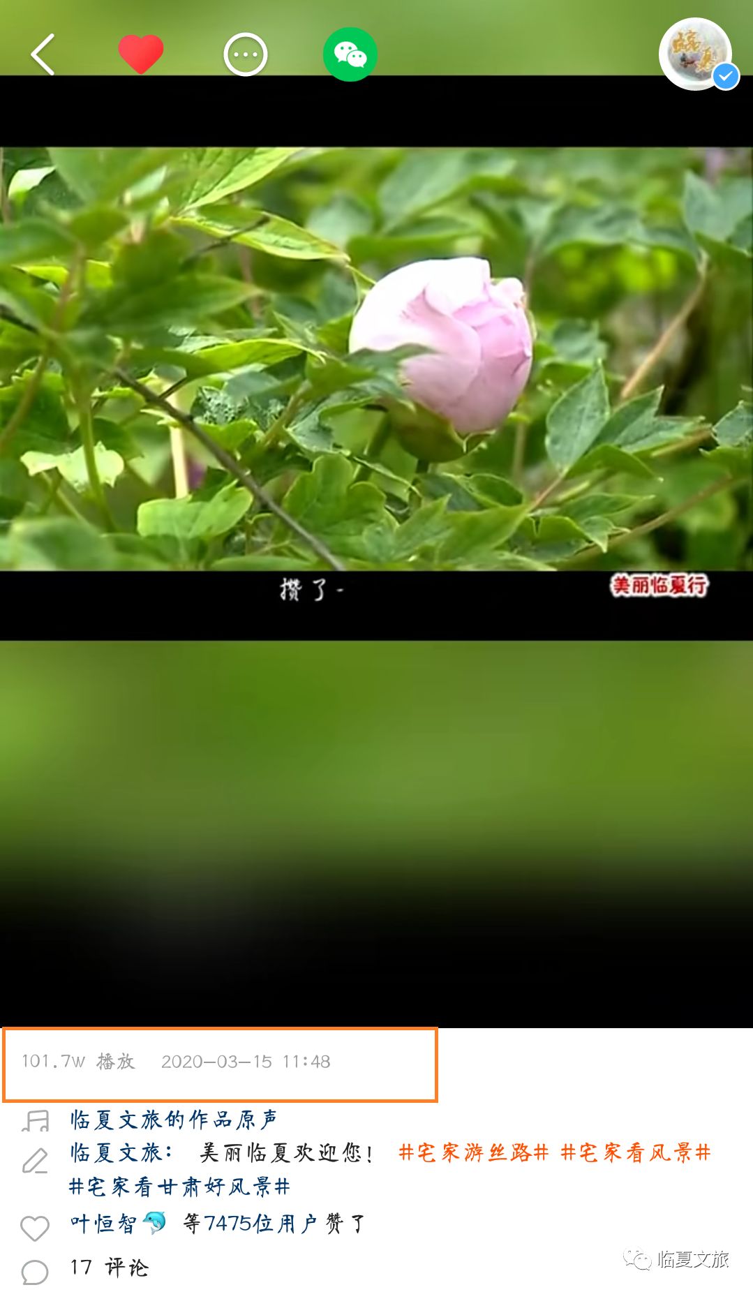 临夏州快手大V宣传视频*放播**量达650万!