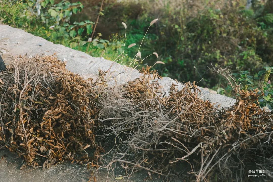 大悟十八潭适合什么样的人玩,大悟十八潭中国旅游日免门票吗