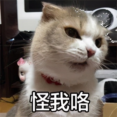 为了让我确认收货，这些卖家也是拼了