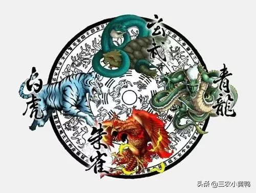 朱雀位房屋高风水好吗,楼房门朝北怎么判断青龙白虎位置