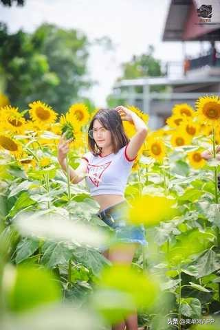 柬埔寨波贝不止有“菠菜”，还有美女和花海