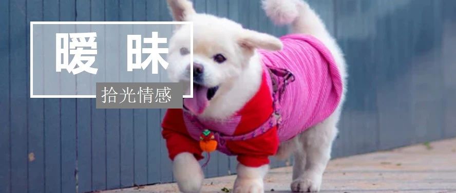 中年男女暧昧进入瓶颈期怎么升温,和女生暧昧期如何升温