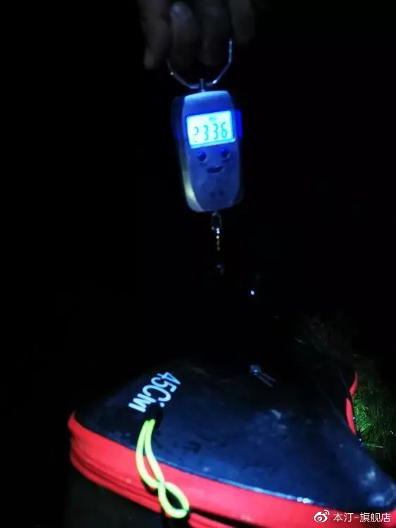 本汀金迦潘求败7米2,本汀金迦潘引领实测