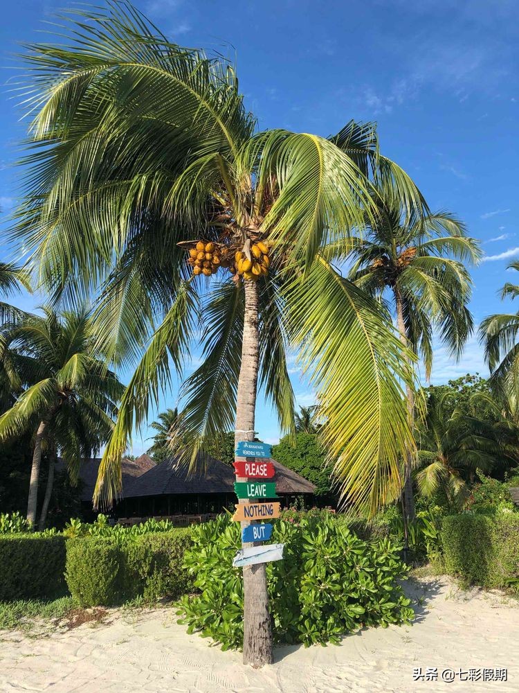 马尔代夫一家人旅行攻略,马尔代夫旅游一家四口跟团