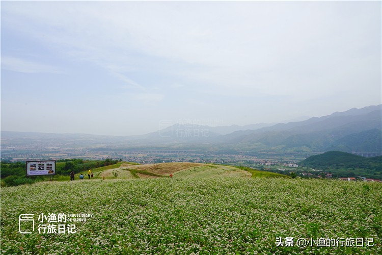 藏在秦岭深处的世外秘境,藏在西安秦岭里的桃源秘境