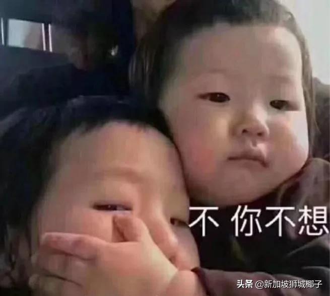 新加坡空姐现状,新加坡空姐最近情况