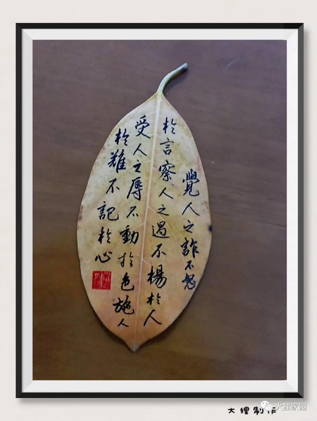 带娃的日子有滋有味,日子过得有滋有味广场舞